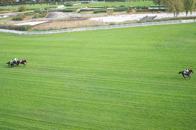 Photo d'arrivée de la course pmu PRIX XANTHOR à AUTEUIL le Mardi 6 octobre 2026