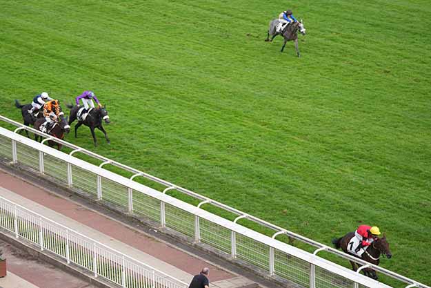 Photo d'arrivée de la course pmu PRIX DE NANTES à AUTEUIL le Mardi 6 octobre 2026