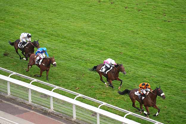 Photo d'arrivée de la course pmu PRIX HIPPARQUE à AUTEUIL le Mardi 6 octobre 2026