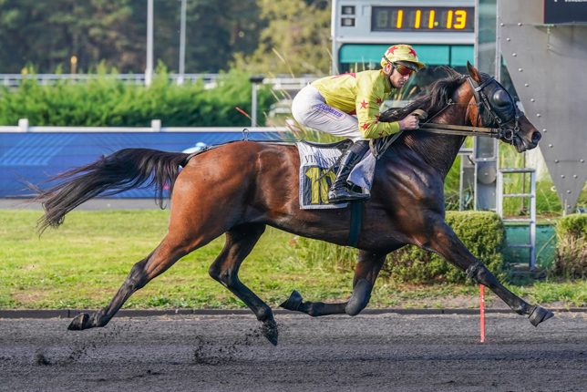 Photo d'arrivée de la course pmu PRIX ANTONIA à PARIS-VINCENNES le Mardi 6 octobre 2026