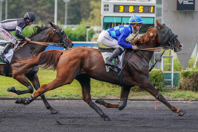 Photo d'arrivée de la course pmu PRIX ANTIOPE à PARIS-VINCENNES le Mardi 6 octobre 2026