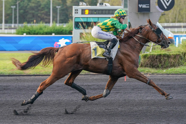 Photo d'arrivée de la course pmu PRIX NYSA à PARIS-VINCENNES le Mardi 6 octobre 2026