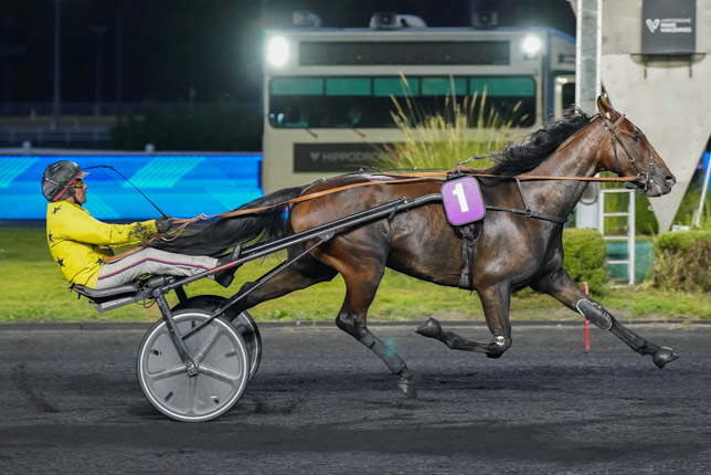 Photo d'arrivée de la course pmu PRIX MENIPPE à PARIS-VINCENNES le Mardi 6 octobre 2026