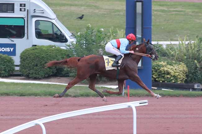 Photo d'arrivée de la course pmu PRIX DE LA PLACE BEAUVAU à ENGHIEN le Mercredi 7 octobre 2026