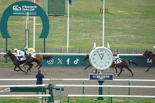 Photo d'arrivée de la course pmu PRIX DES TERROIRS DE FRANCE à CHANTILLY le Mercredi 7 octobre 2026