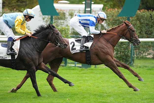 Photo d'arrivée de la course pmu PRIX DE SENLIS à CHANTILLY le Mercredi 7 octobre 2026