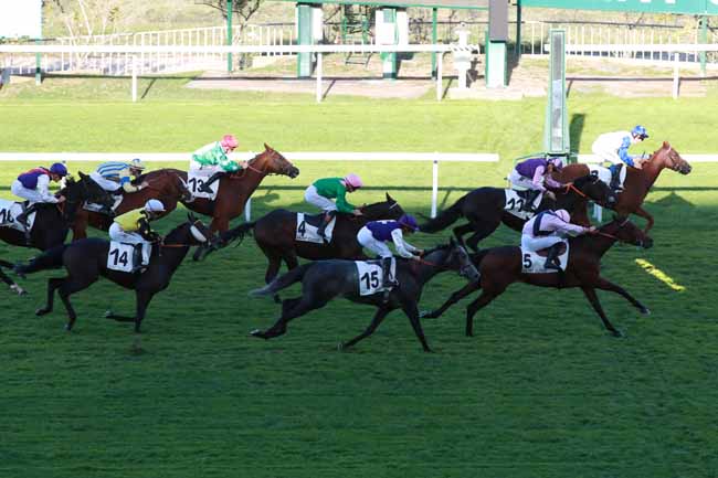 Photo d'arrivée de la course pmu PRIX DU CHESNAY à SAINT CLOUD le Jeudi 8 octobre 2026
