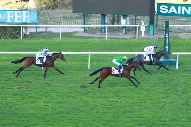 Photo d'arrivée de la course pmu PRIX DE ROCQUENCOURT à SAINT CLOUD le Jeudi 8 octobre 2026