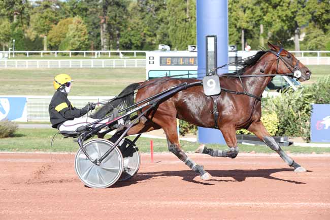 Photo d'arrivée de la course pmu PRIX DE PRADELLES à ENGHIEN le Jeudi 8 octobre 2026
