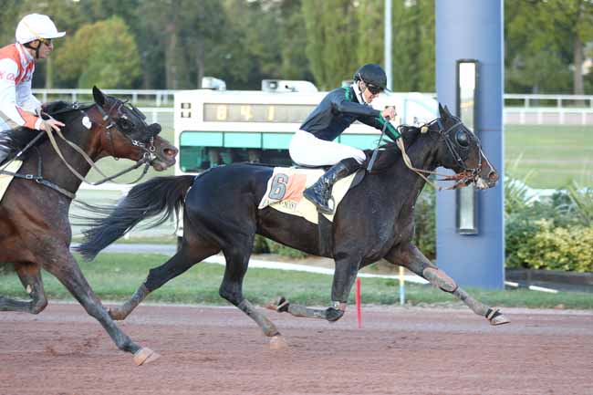 Photo d'arrivée de la course pmu PRIX DE LA PLACE DU CANADA à ENGHIEN le Jeudi 8 octobre 2026