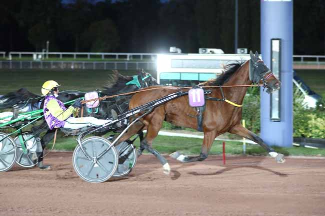 Photo d'arrivée de la course pmu PRIX DE MAURON à ENGHIEN le Jeudi 8 octobre 2026