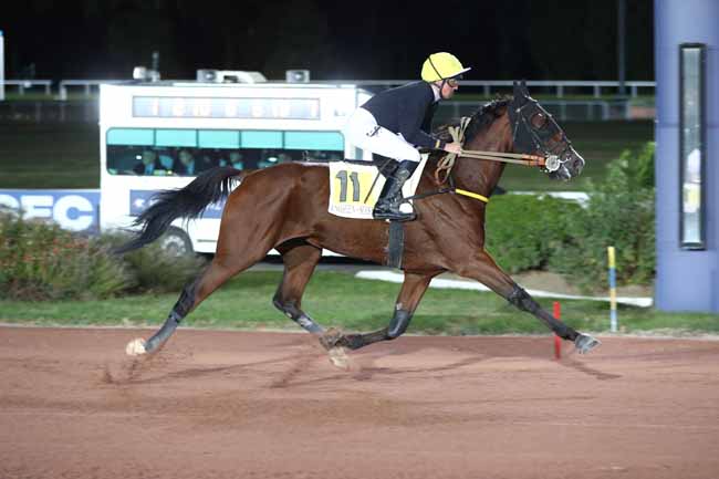 Photo d'arrivée de la course pmu PRIX DE LA PORTE D'IVRY à ENGHIEN le Jeudi 8 octobre 2026