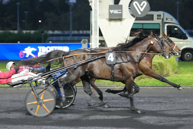 Photo d'arrivée de la course pmu PRIX INGEBORG à PARIS-VINCENNES le Vendredi 9 octobre 2026