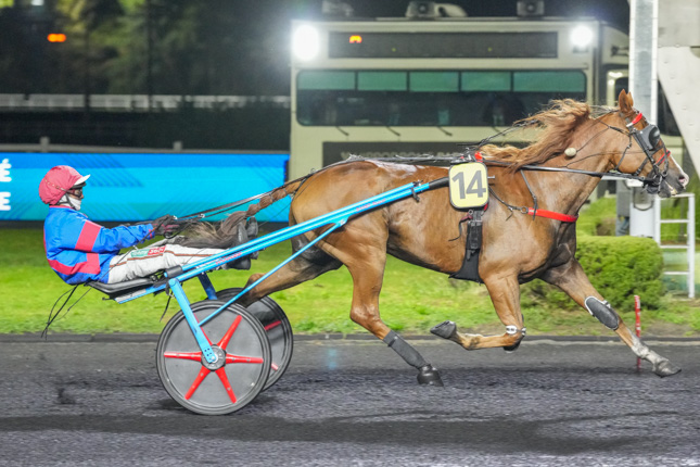 Arrivée quinté pmu PRIX HERA à PARIS-VINCENNES