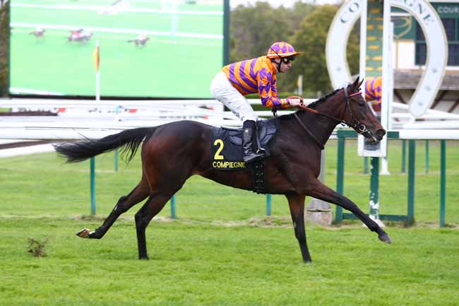 Photo d'arrivée de la course pmu PRIX DE VENETTE à COMPIEGNE le Vendredi 9 octobre 2026