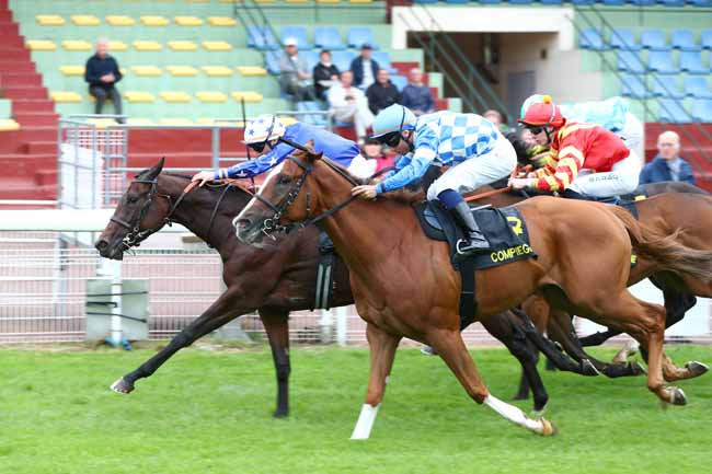 Photo d'arrivée de la course pmu PRIX DE LONGUEIL-ANNEL à COMPIEGNE le Vendredi 9 octobre 2026