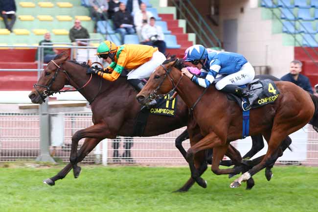 Photo d'arrivée de la course pmu PRIX DU CARREFOUR DU VIVIER CORAX à COMPIEGNE le Vendredi 9 octobre 2026