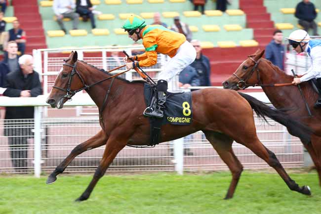 Photo d'arrivée de la course pmu PRIX CHARLES LAFFITTE à COMPIEGNE le Vendredi 9 octobre 2026