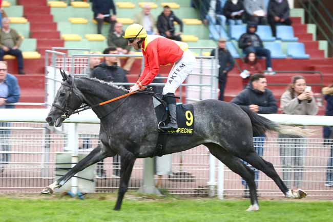 Photo d'arrivée de la course pmu PRIX DU CARREFOUR DU MONT DU TREMBLE à COMPIEGNE le Vendredi 9 octobre 2026