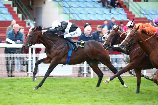 Photo d'arrivée de la course pmu PRIX DU CARREFOUR DU FOND PERNANT à COMPIEGNE le Vendredi 9 octobre 2026