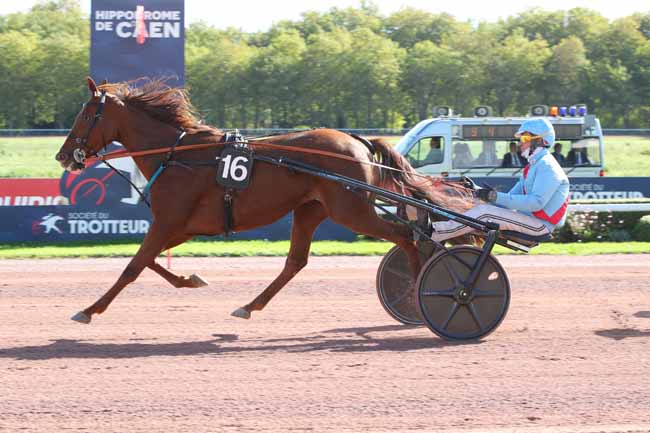Photo d'arrivée de la course pmu PRIX D'AIREL à CAEN le Samedi 10 octobre 2026