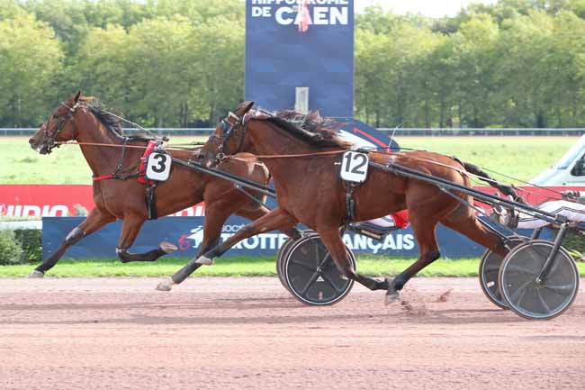 Photo d'arrivée de la course pmu PRIX DE BLAINVILLE-SUR-ORNE à CAEN le Samedi 10 octobre 2026