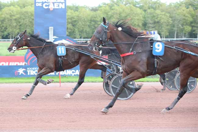 Photo d'arrivée de la course pmu PRIX DE LOUCELLES à CAEN le Samedi 10 octobre 2026
