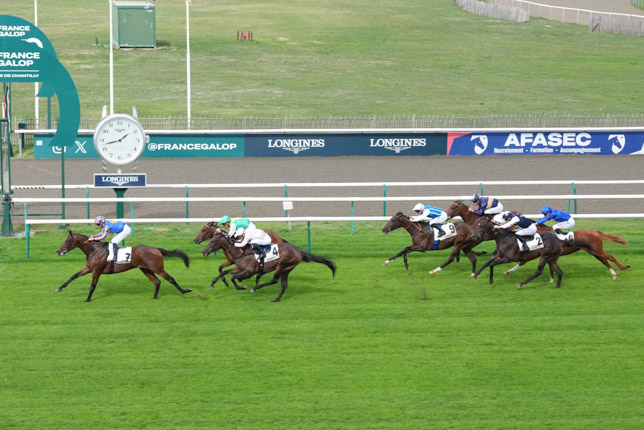 Photo d'arrivée de la course pmu PRIX DE LA MANIGUETTE à CHANTILLY le Samedi 10 octobre 2026