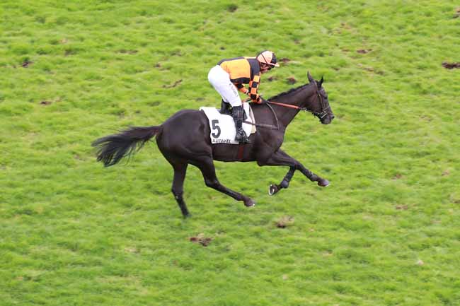 Photo d'arrivée de la course pmu PRIX CARMARTHEN à AUTEUIL le Dimanche 11 octobre 2026