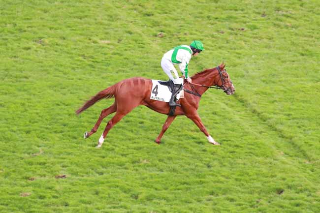 Photo d'arrivée de la course pmu PRIX BAYONNET à AUTEUIL le Dimanche 11 octobre 2026