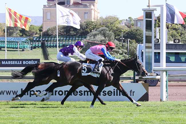 Photo d'arrivée de la course pmu PRIX JEAN-CLAUDE NAPOLI à MARSEILLE BORELY le Lundi 12 octobre 2026