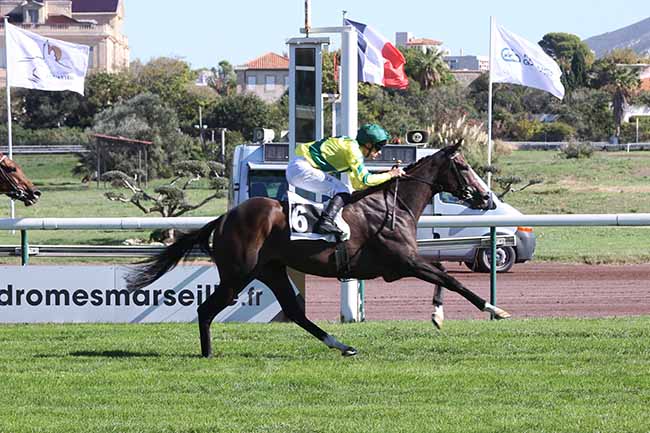 Photo d'arrivée de la course pmu PRIX VIA MILANO à MARSEILLE BORELY le Lundi 12 octobre 2026