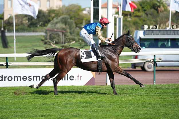 Photo d'arrivée de la course pmu PRIX D'ORANGE à MARSEILLE BORELY le Lundi 12 octobre 2026