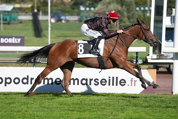 Photo d'arrivée de la course pmu PRIX DE L'ESTACADE à MARSEILLE BORELY le Lundi 12 octobre 2026