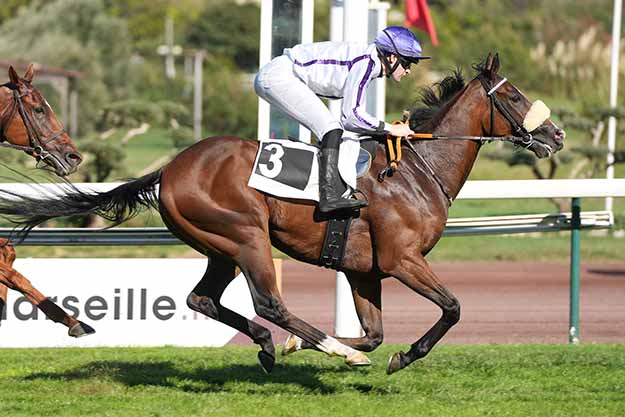 Photo d'arrivée de la course pmu PRIX LOUIS ESPANET à MARSEILLE BORELY le Lundi 12 octobre 2026