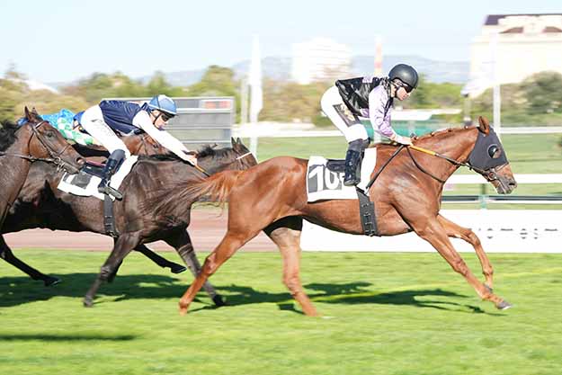 Photo d'arrivée de la course pmu PRIX DU COLONEL MALDRAN à MARSEILLE BORELY le Lundi 12 octobre 2026