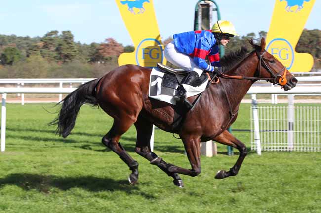 Photo d'arrivée de la course pmu PRIX COLONEL JOCHAUD DU PLESSIX à FONTAINEBLEAU le Lundi 12 octobre 2026