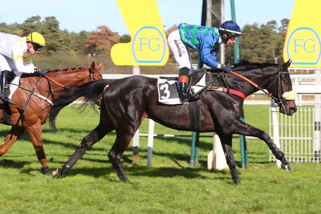 Photo d'arrivée de la course pmu PRIX GERARD DE MARISY à FONTAINEBLEAU le Lundi 12 octobre 2026