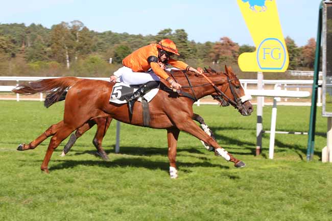 Photo d'arrivée de la course pmu PRIX ANDRE PAROT à FONTAINEBLEAU le Lundi 12 octobre 2026