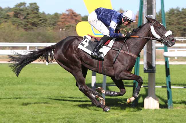 Photo d'arrivée de la course pmu PRIX RICHARD D'AYGUEVIVES à FONTAINEBLEAU le Lundi 12 octobre 2026