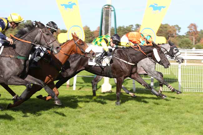 Photo d'arrivée de la course pmu PRIX JEAN-JACQUES GUYON à FONTAINEBLEAU le Lundi 12 octobre 2026