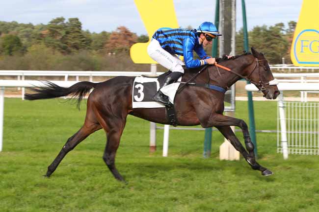 Photo d'arrivée de la course pmu PRIX HENRY MAZE-SENCIER à FONTAINEBLEAU le Lundi 12 octobre 2026