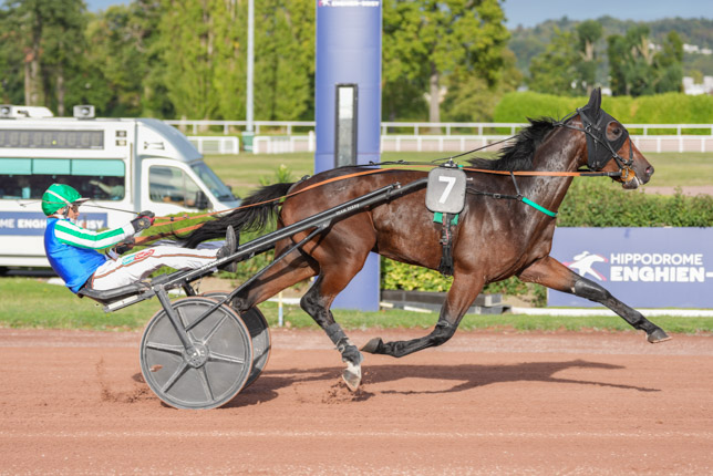 Photo d'arrivée de la course pmu PRIX DE PAILLENCOURT à ENGHIEN le Lundi 12 octobre 2026