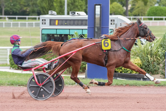 Photo d'arrivée de la course pmu PRIX DU PONT MIRABEAU à ENGHIEN le Lundi 12 octobre 2026