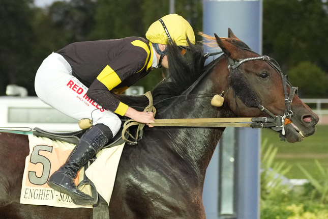 Photo d'arrivée de la course pmu PRIX DU PONT NEUF à ENGHIEN le Lundi 12 octobre 2026