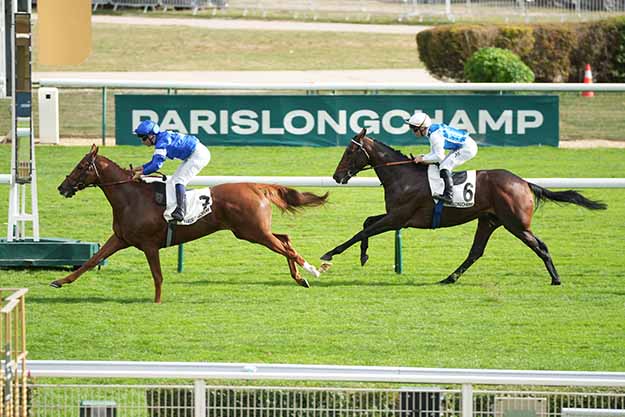 Photo d'arrivée de la course pmu PRIX DU CHAMP DE MARS à LONGCHAMP le Mardi 13 octobre 2026