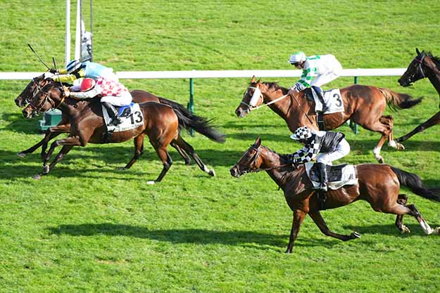Photo d'arrivée de la course pmu PRIX DE SECRETAN à LONGCHAMP le Mardi 13 octobre 2026