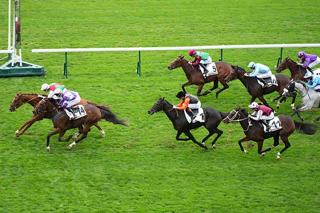 Photo d'arrivée de la course pmu PRIX DE PRE SAINT-GERVAIS à LONGCHAMP le Mardi 13 octobre 2026