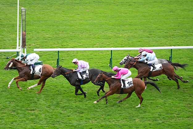 Photo d'arrivée de la course pmu PRIX DE BOLIVAR à LONGCHAMP le Mardi 13 octobre 2026