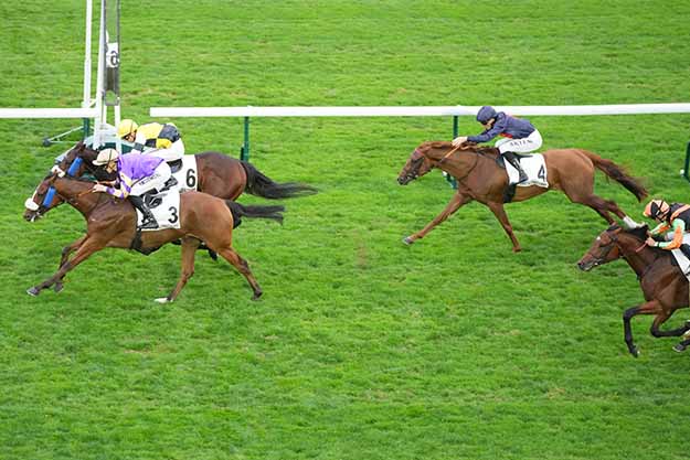 Photo d'arrivée de la course pmu PRIX DE MIROMESNIL à LONGCHAMP le Mardi 13 octobre 2026